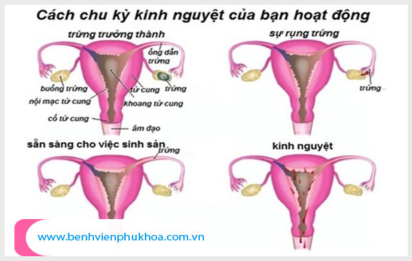 Quan hệ trong ngày kinh nguyệt vẫn có thể mang thai tự nhiên